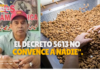 Riberalta se declara en emergencia: Productores de castaña y goma rechazan el Decreto 5613
