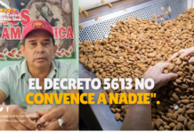 Riberalta se declara en emergencia: Productores de castaña y goma rechazan el Decreto 5613